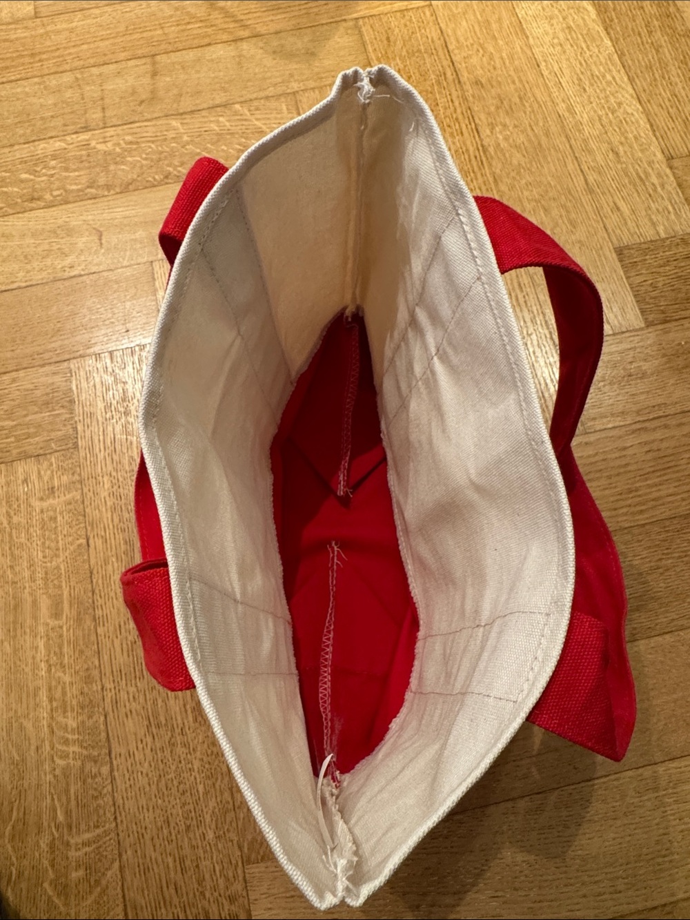 NEW Trader Joe's Mini Canvas Tote Bag - Picture 3 of 3